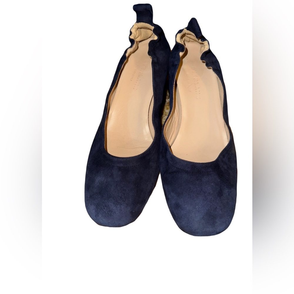 EVERLANE  (made in Italy) The Day Pumps Heels Blue Suede Block heel